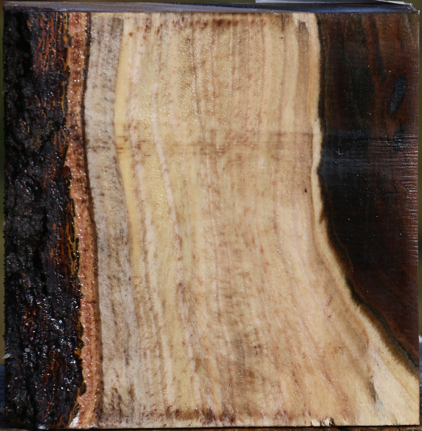 Pistachio Bowl Blank