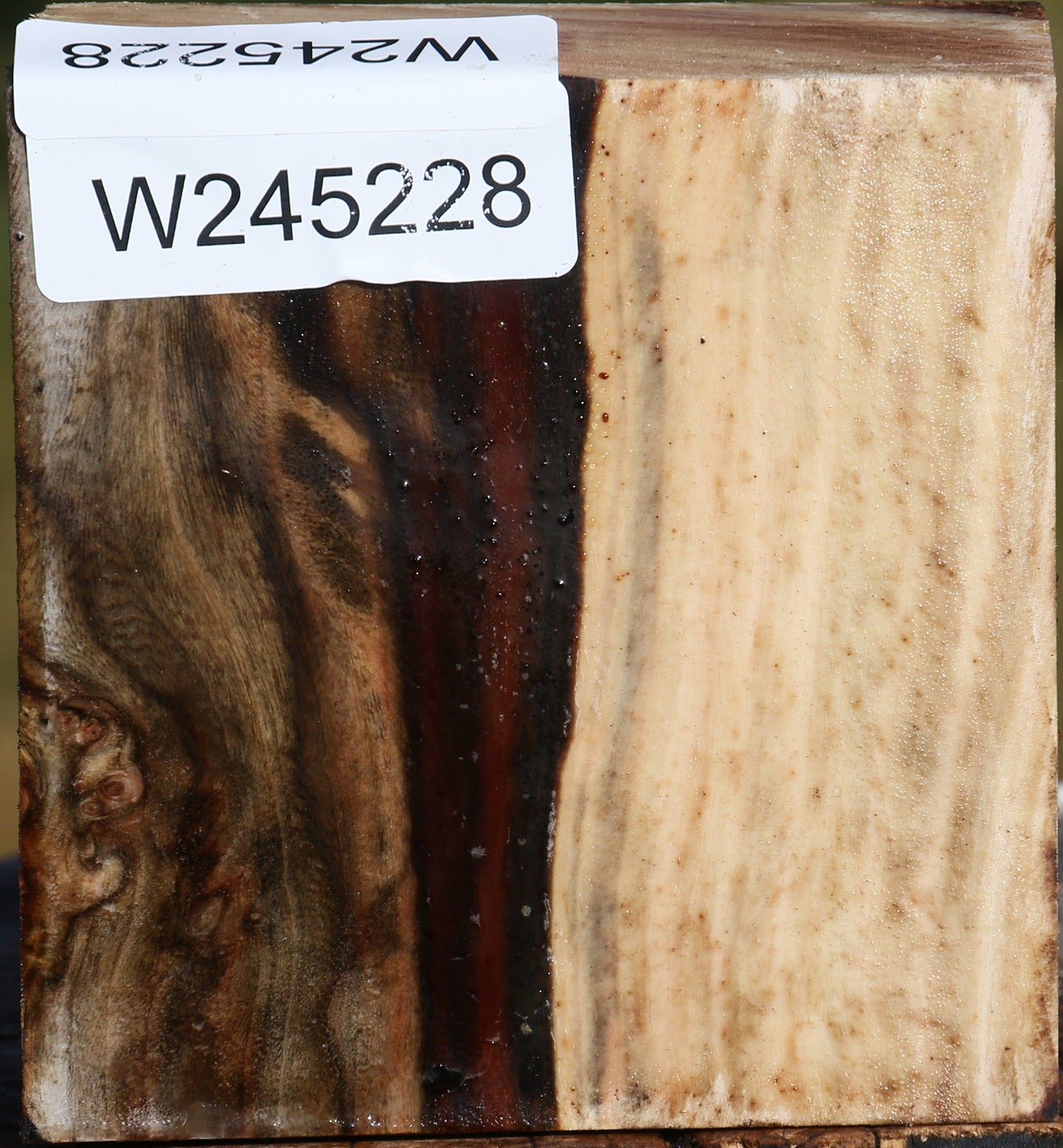 Pistachio Bowl Blank