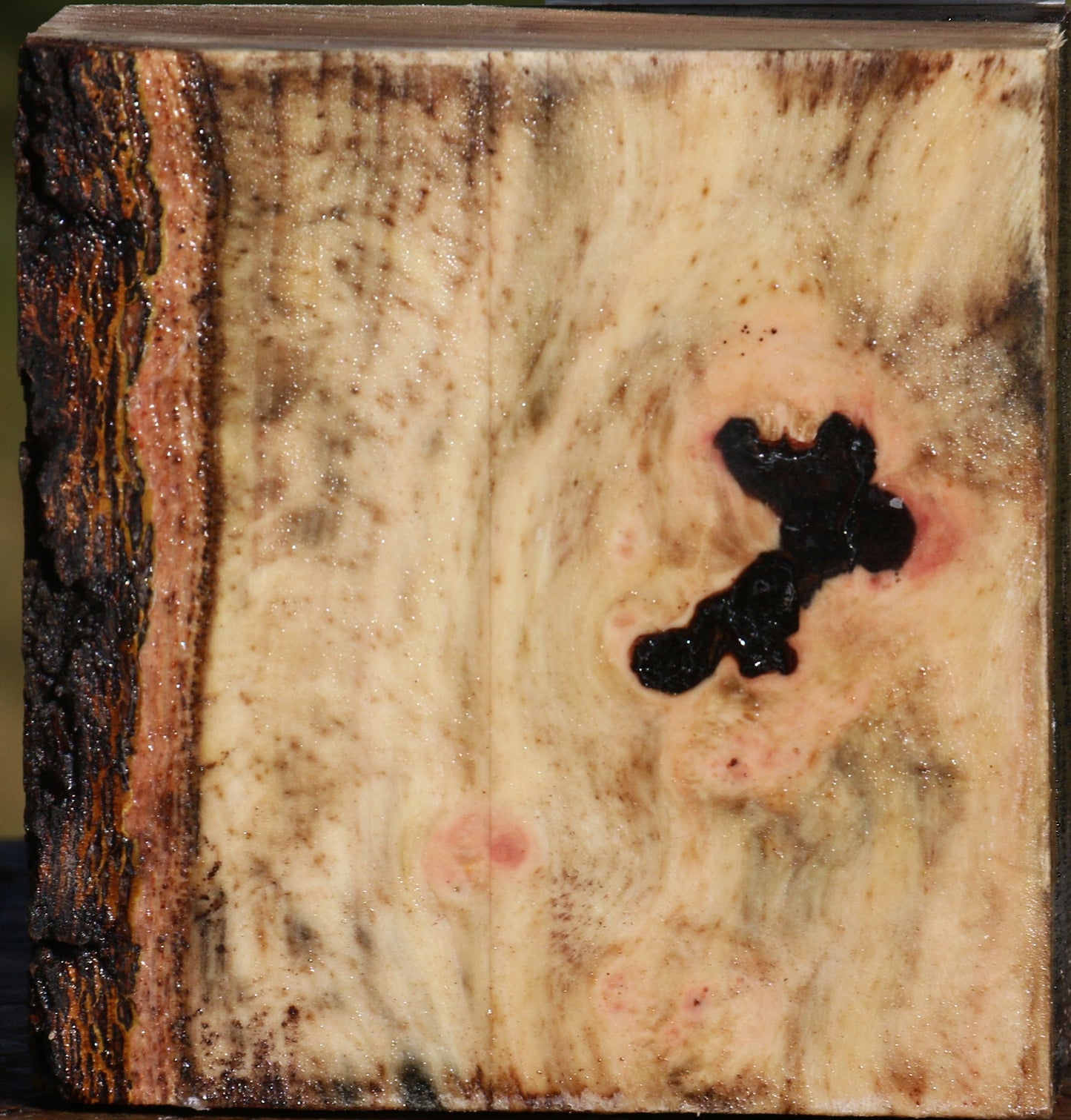 Pistachio Bowl Blank