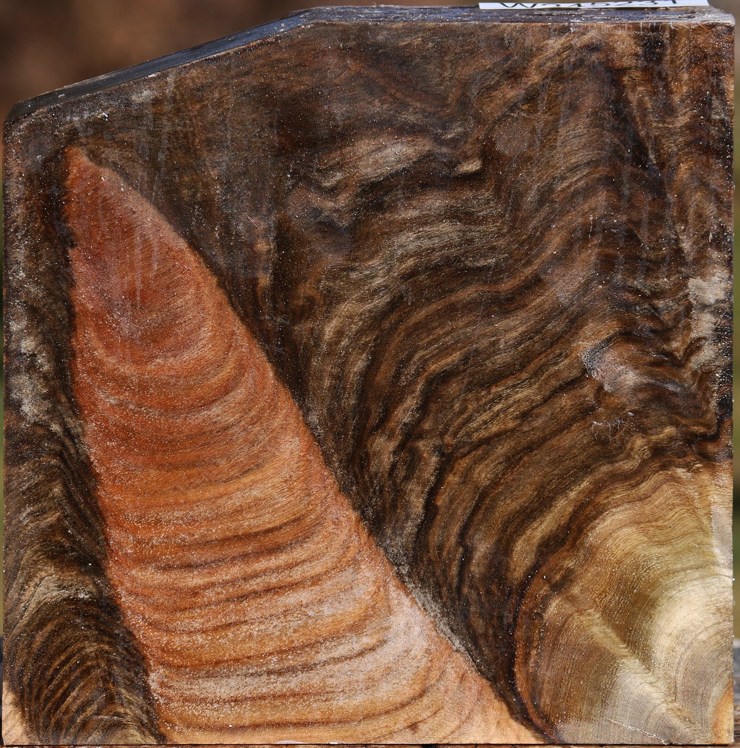 Grafted Pistachio Bowl Blank