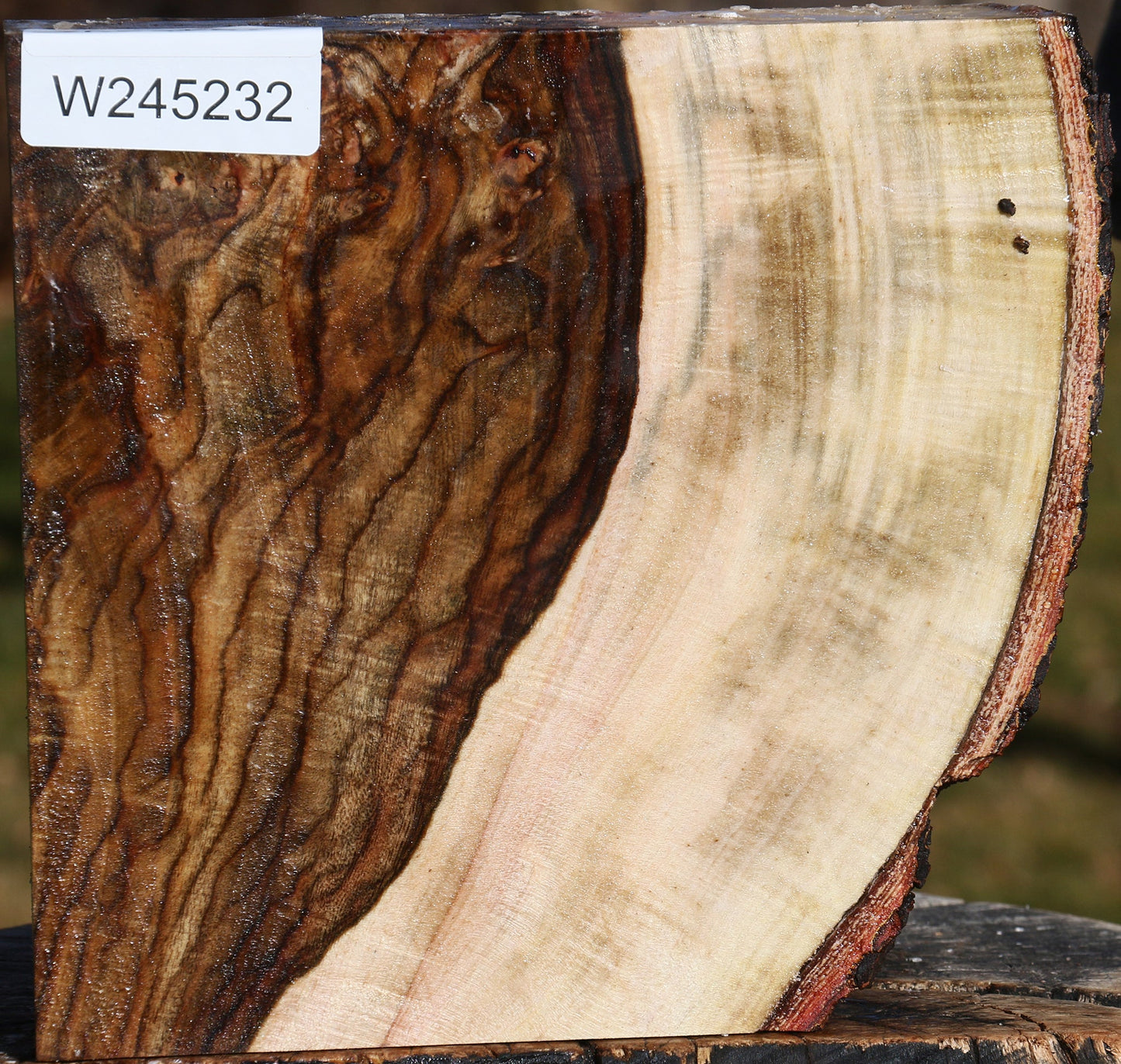 Extra Fancy Pistachio Live Edge Bowl Blank