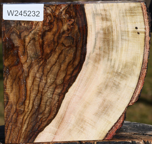 Extra Fancy Pistachio Live Edge Bowl Blank