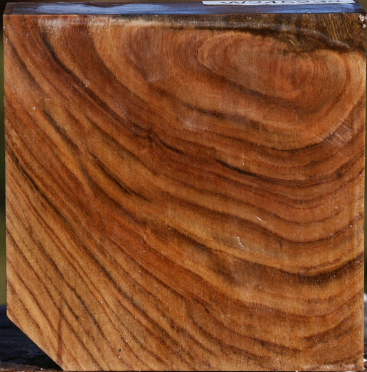 Pistachio Bowl Blank