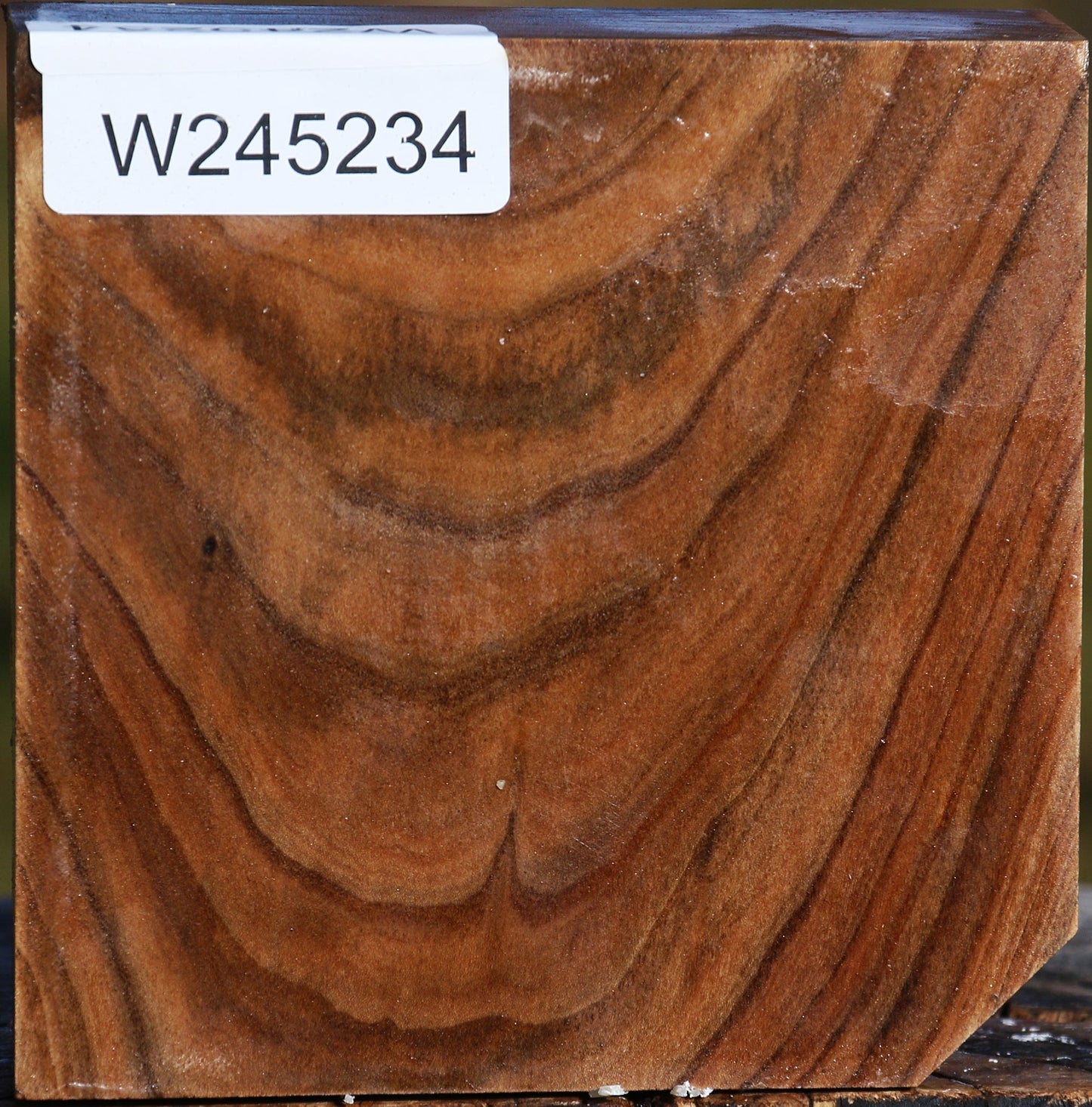 Pistachio Bowl Blank