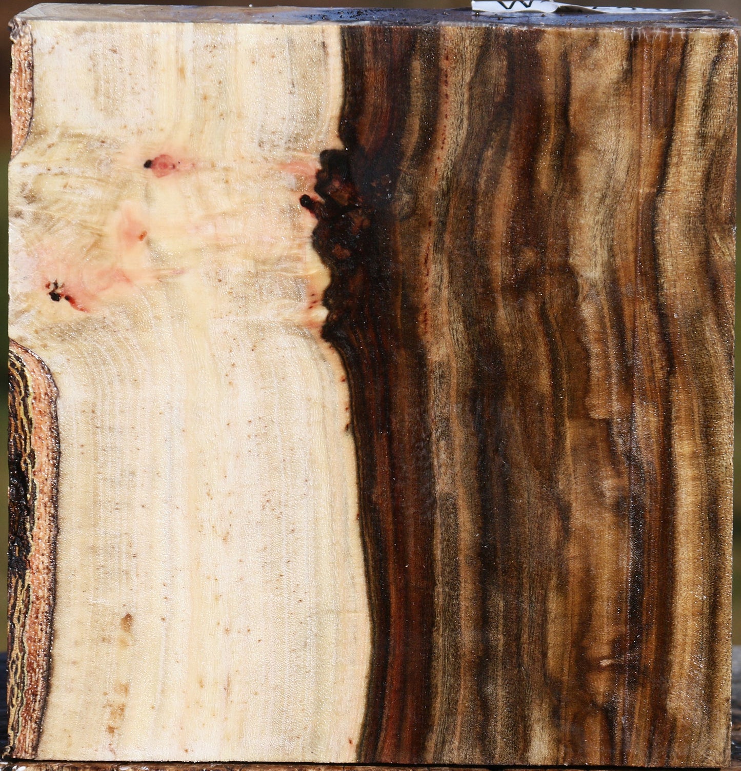 Figured Pistachio Bowl Blank