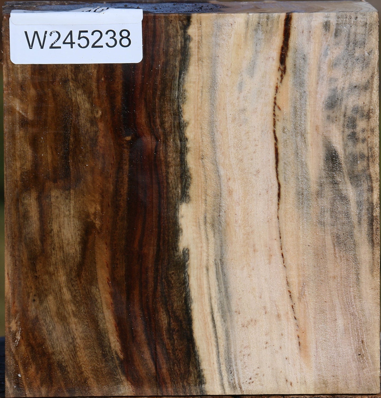 Figured Pistachio Bowl Blank