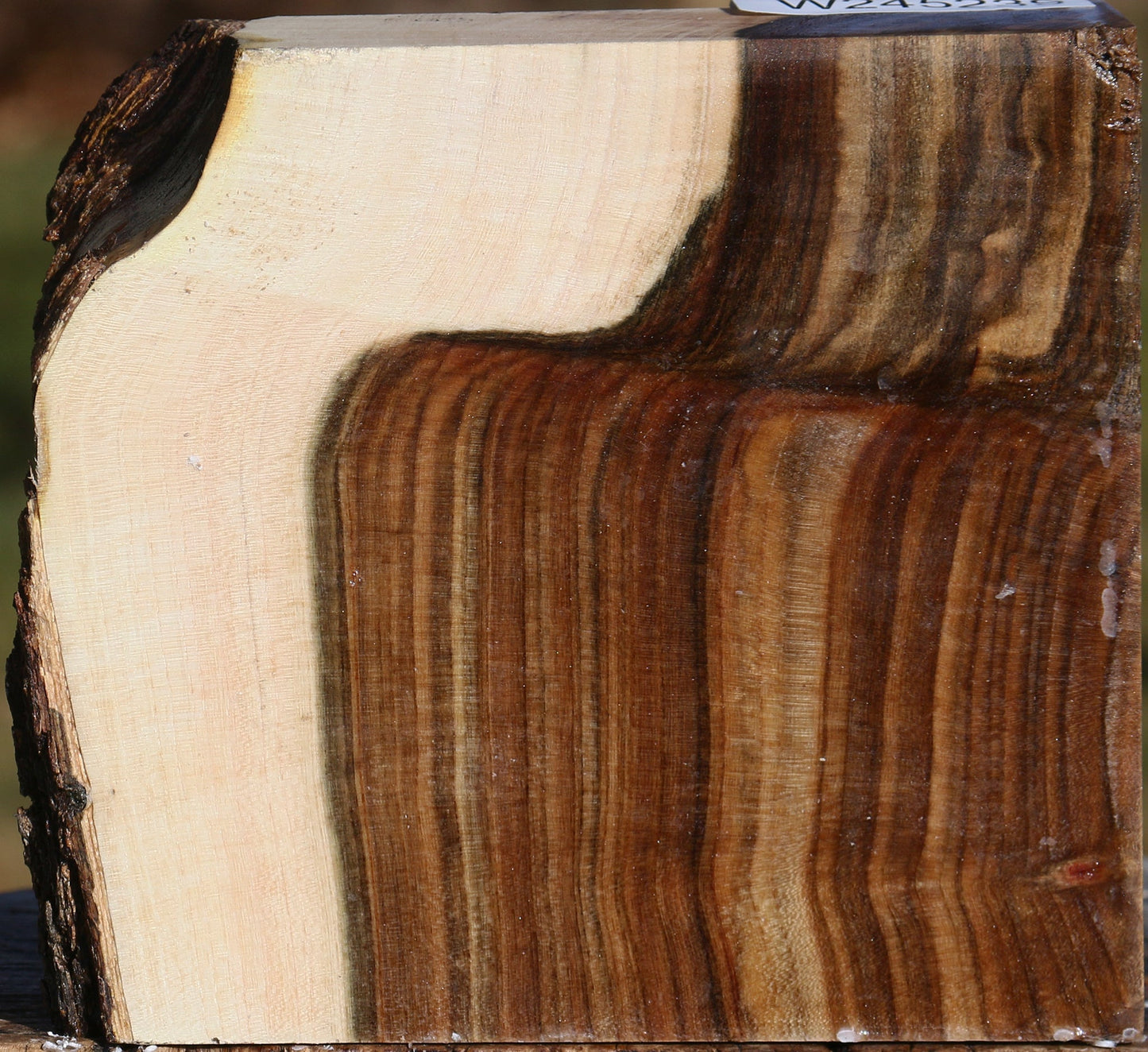 Pistachio Live Edge Bowl Blank