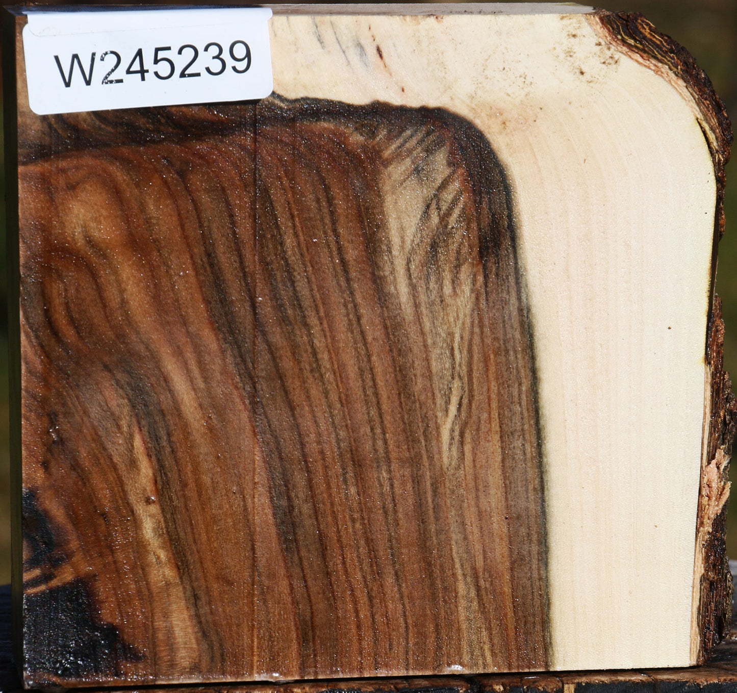 Pistachio Live Edge Bowl Blank