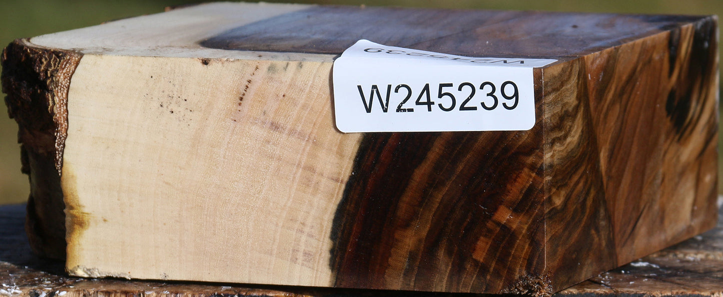 Pistachio Live Edge Bowl Blank