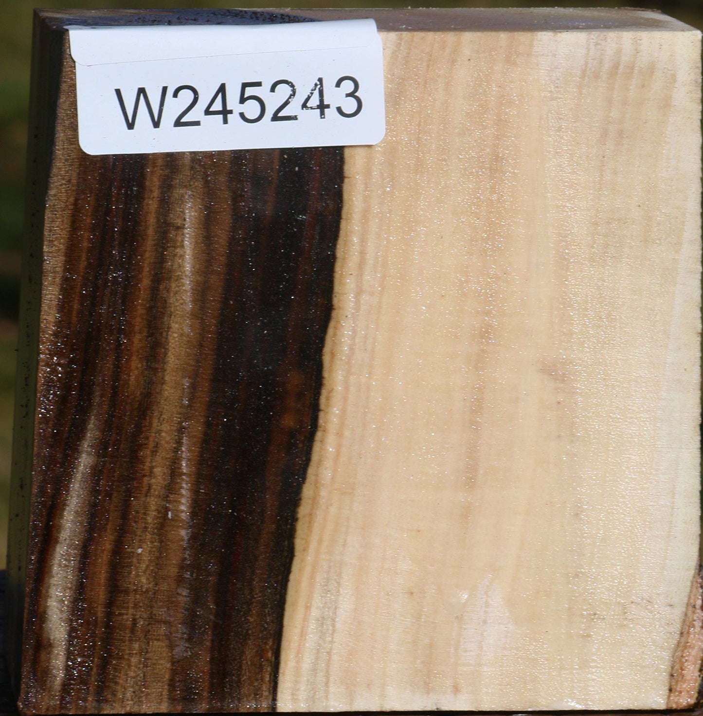 Pistachio Bowl Blank