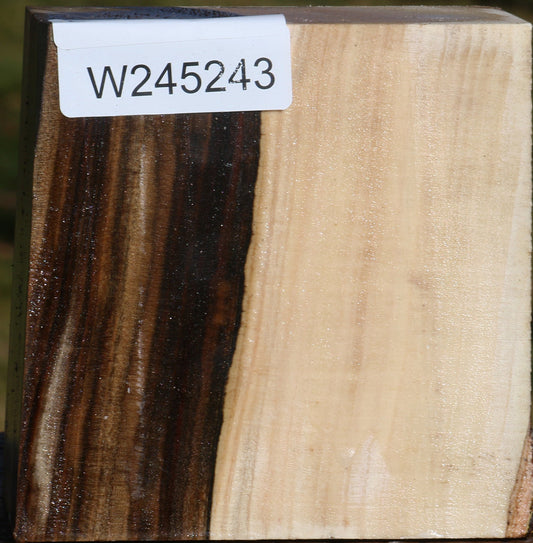 Pistachio Bowl Blank