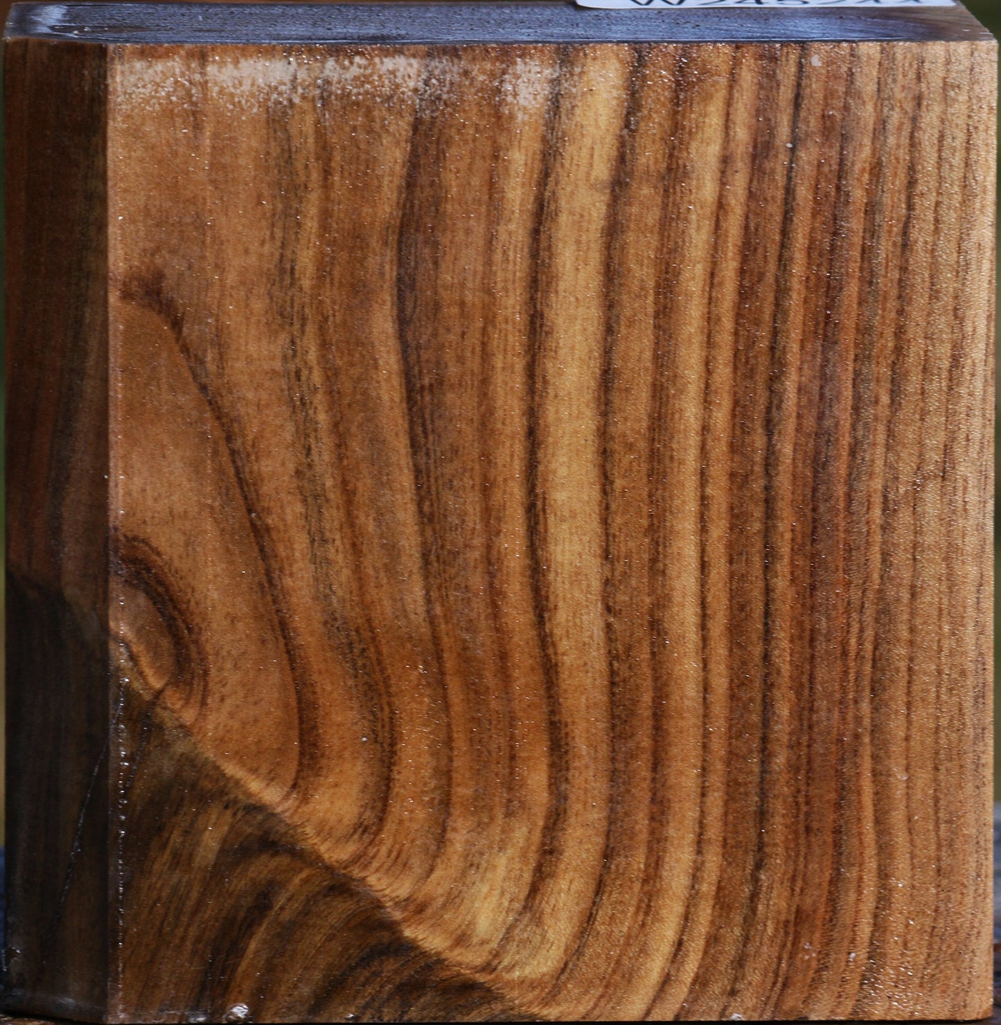 Grafted Pistachio Bowl Blank