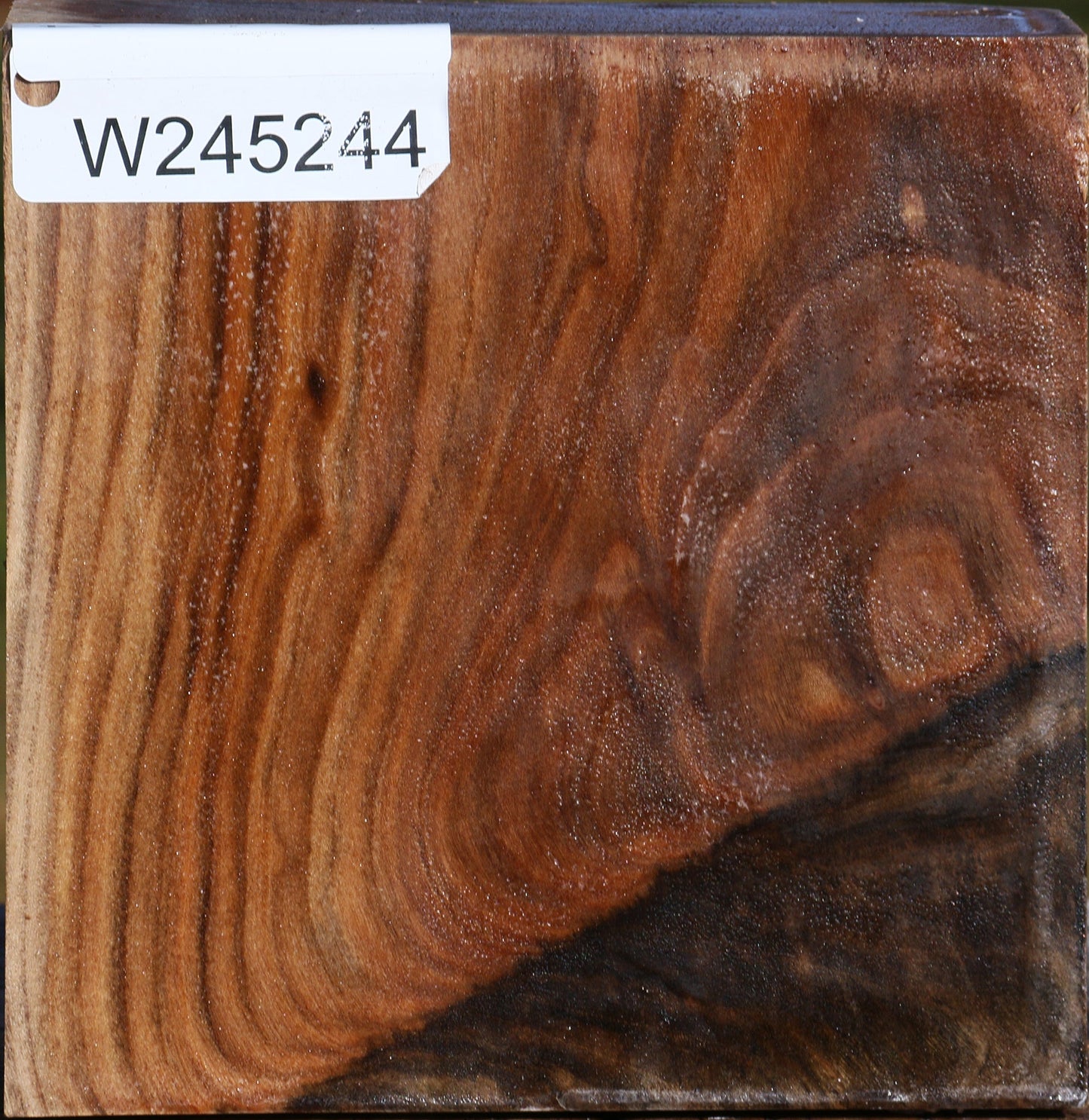 Grafted Pistachio Bowl Blank