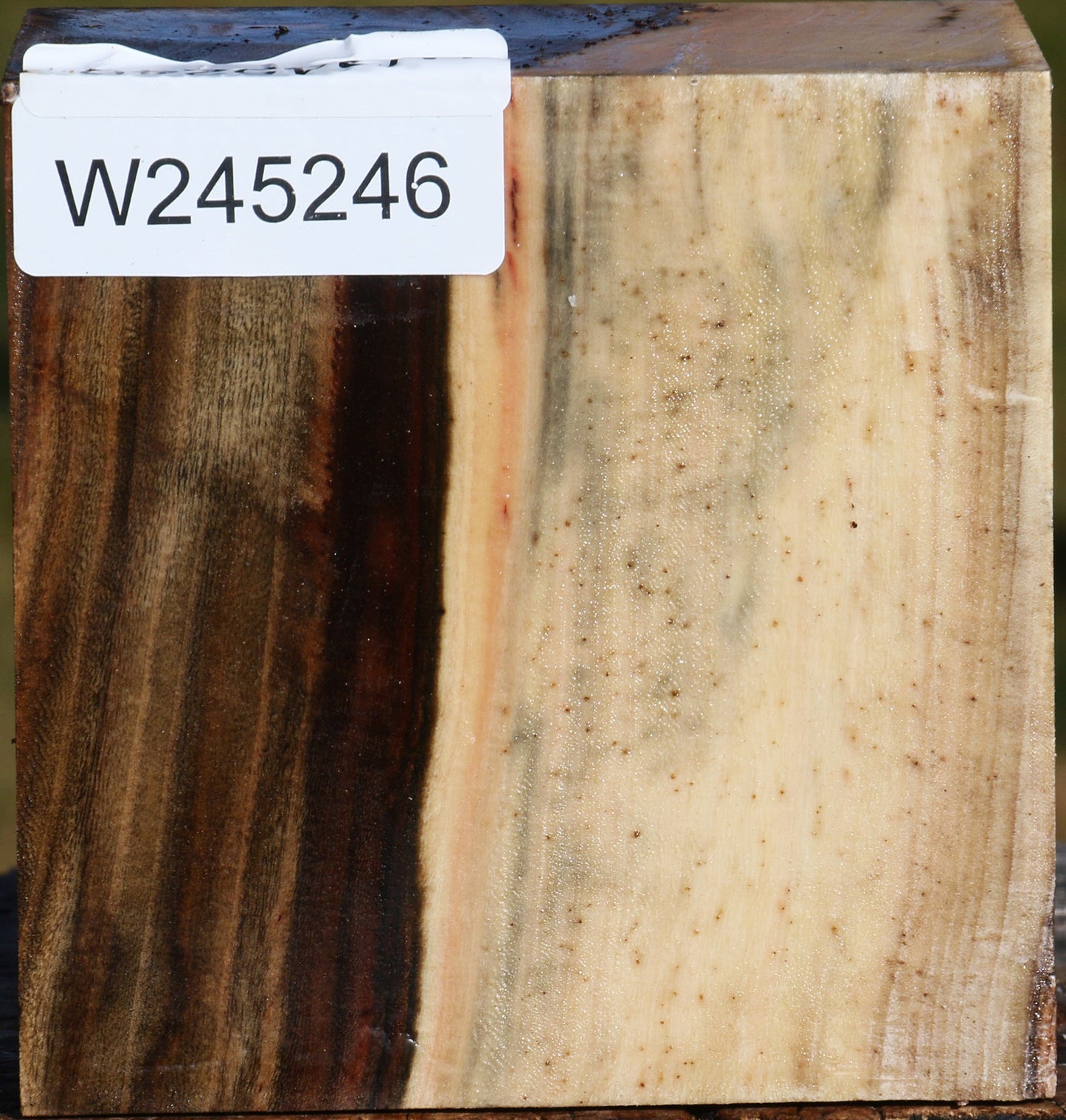 Figured Pistachio Bowl Blank