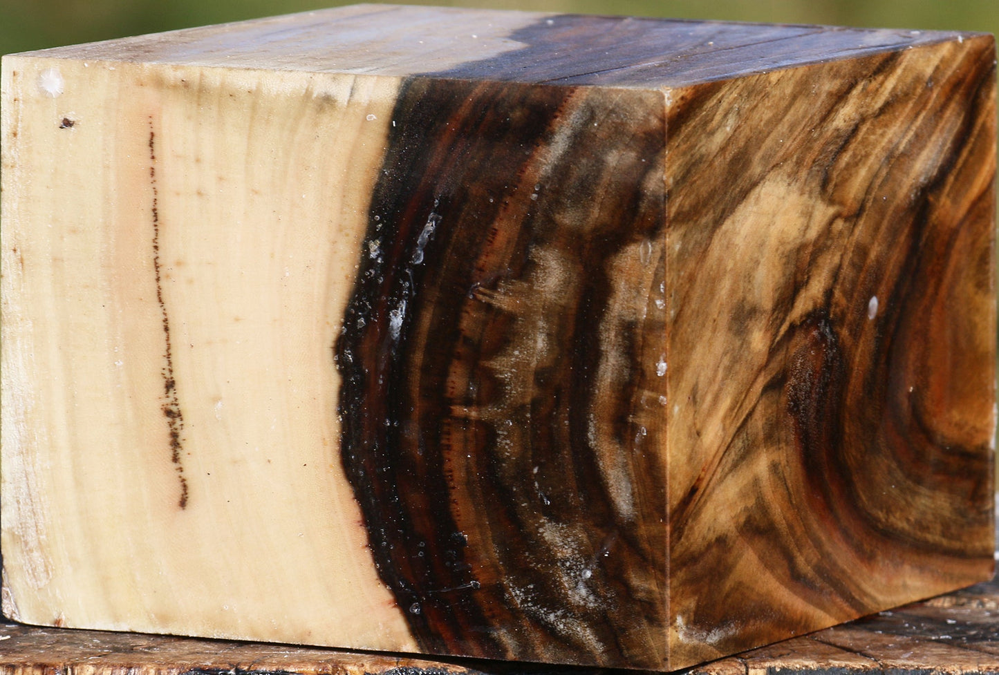 Figured Pistachio Bowl Blank