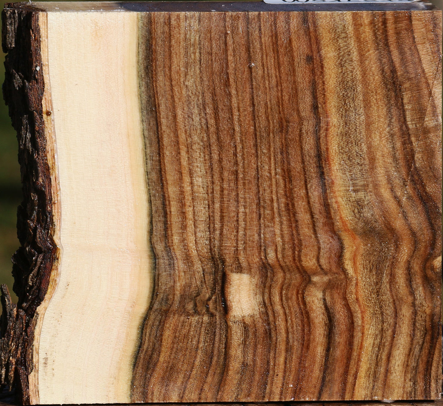 Figured Pistachio Live Edge Bowl Blank