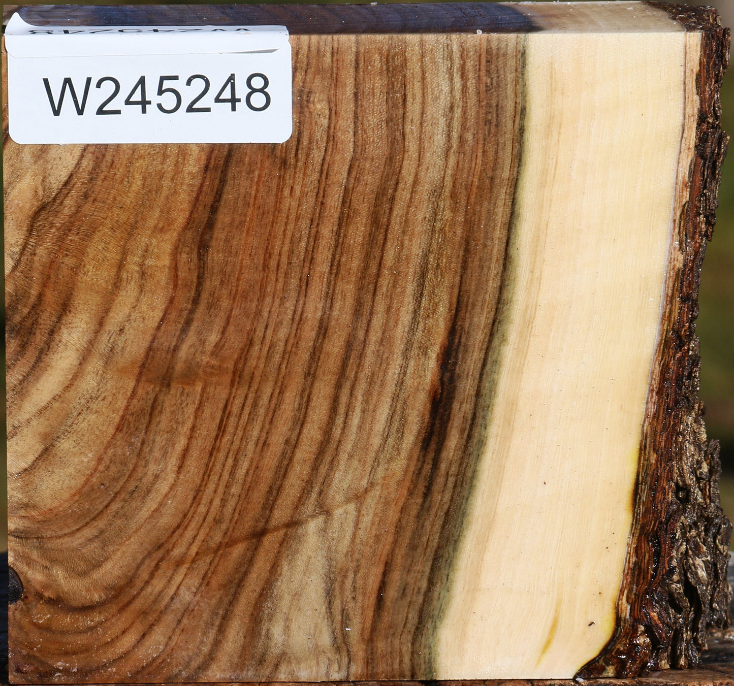 Figured Pistachio Live Edge Bowl Blank