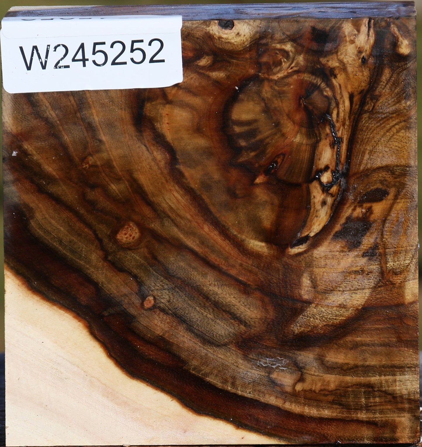 Extra Fancy Pistachio Bowl Blank