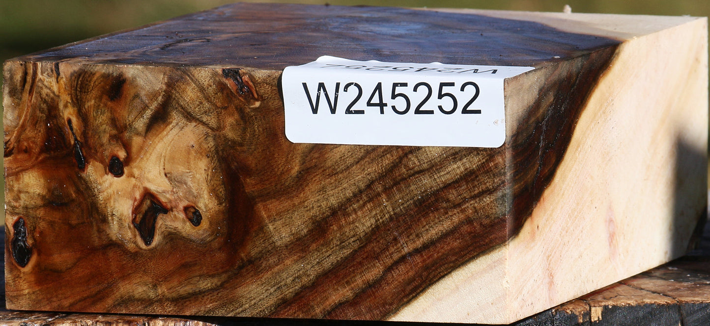 Extra Fancy Pistachio Bowl Blank