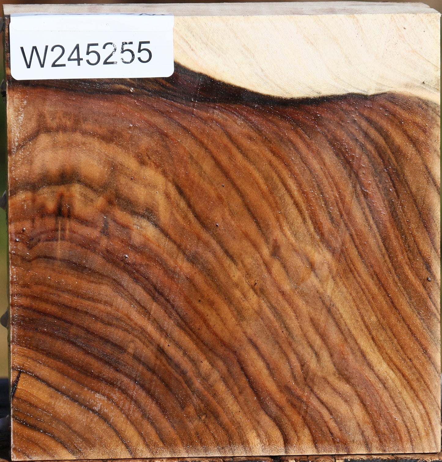 Figured Pistachio Bowl Blank