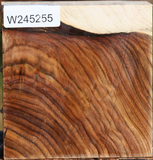 Figured Pistachio Bowl Blank