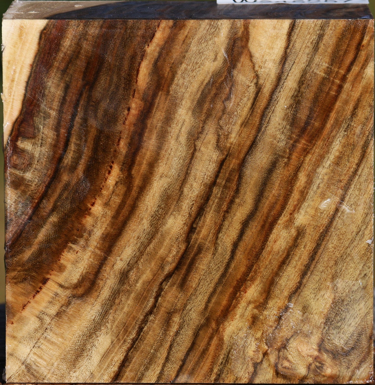 Extra Fancy Pistachio Bowl Blank