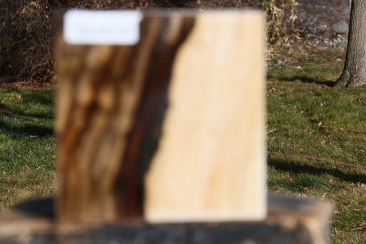 Pistachio Bowl Blank