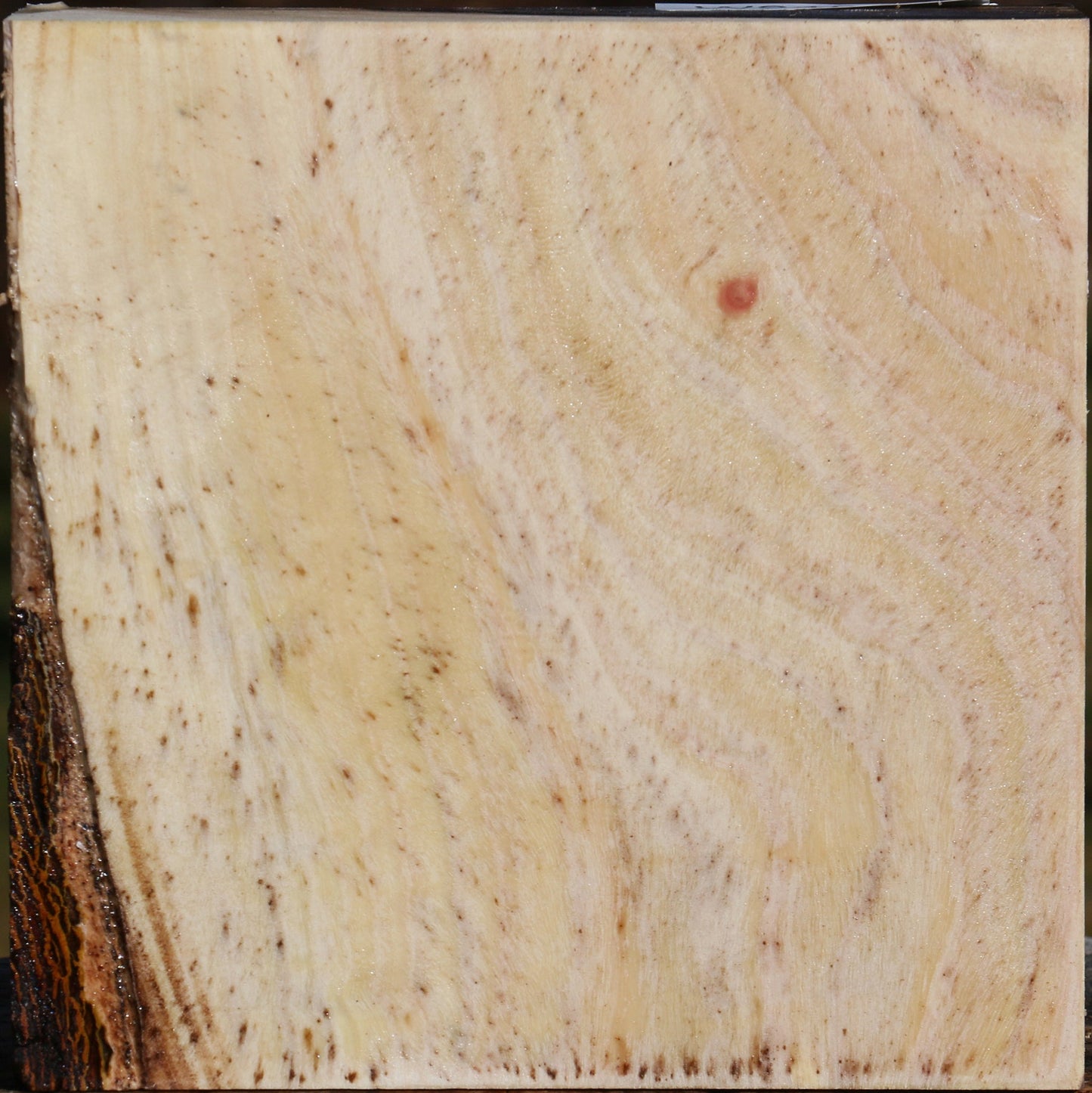 Pistachio Bowl Blank