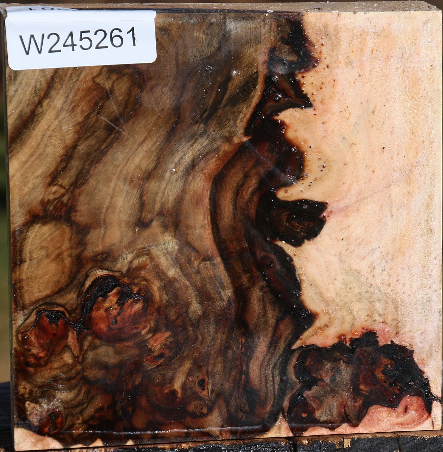 Extra Fancy Pistachio Bowl Blank