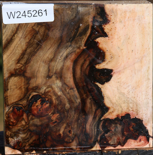 Extra Fancy Pistachio Bowl Blank