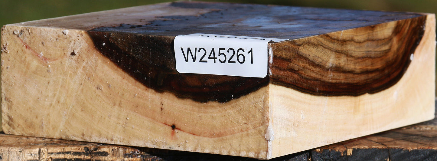 Extra Fancy Pistachio Bowl Blank