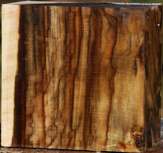 Extra Fancy Pistachio Bowl Blank