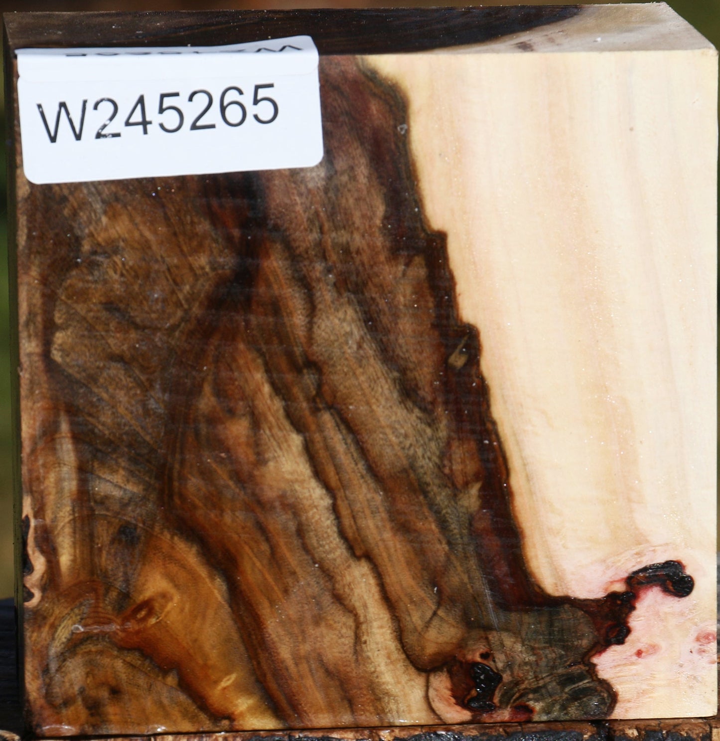 Extra Fancy Pistachio Bowl Blank