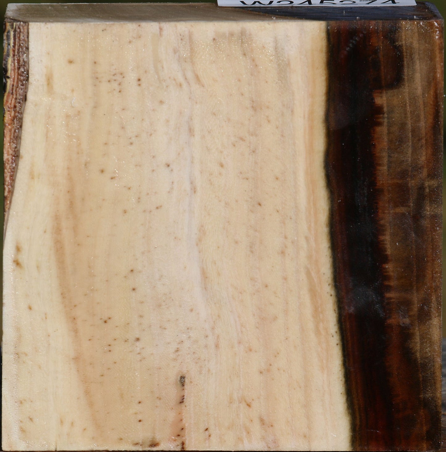 Pistachio Bowl Blank