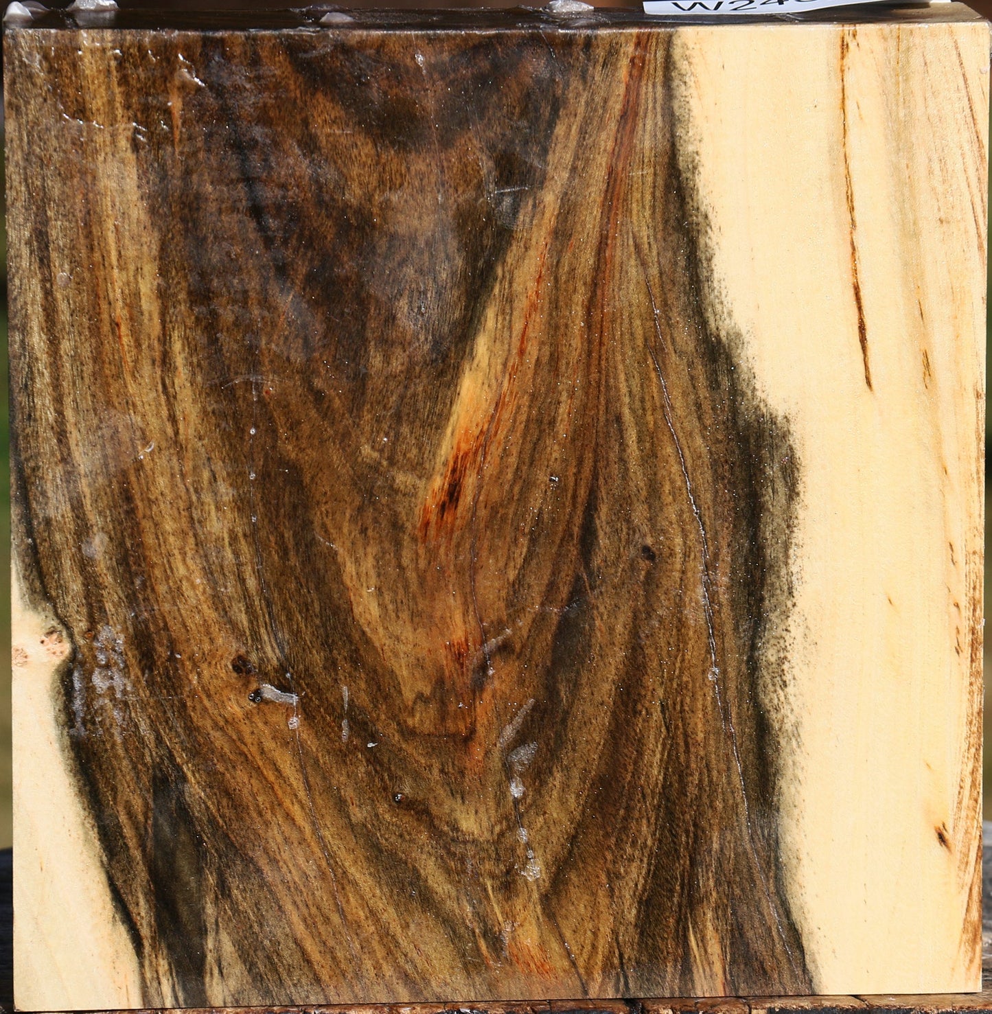 Pistachio Bowl Blank