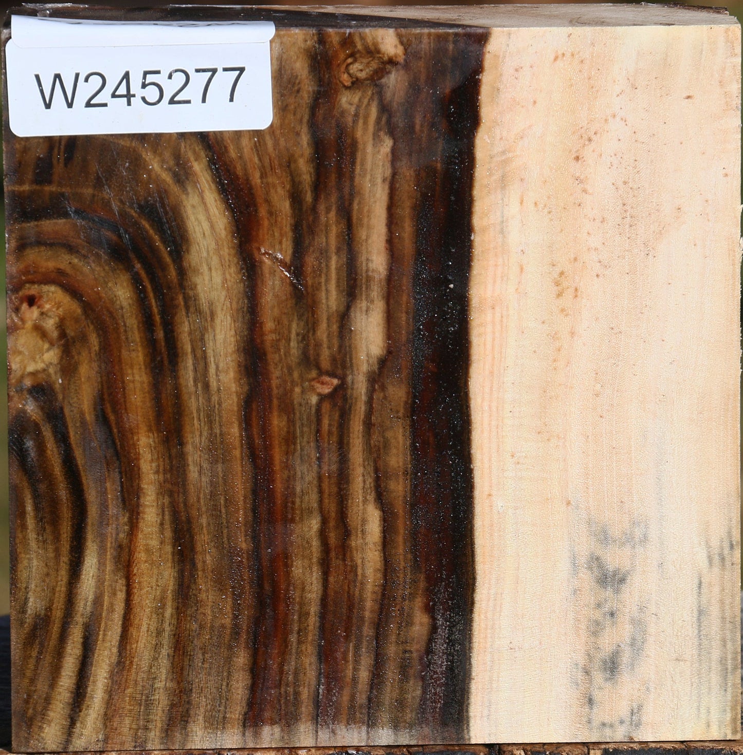 Extra Fancy Pistachio Bowl Blank