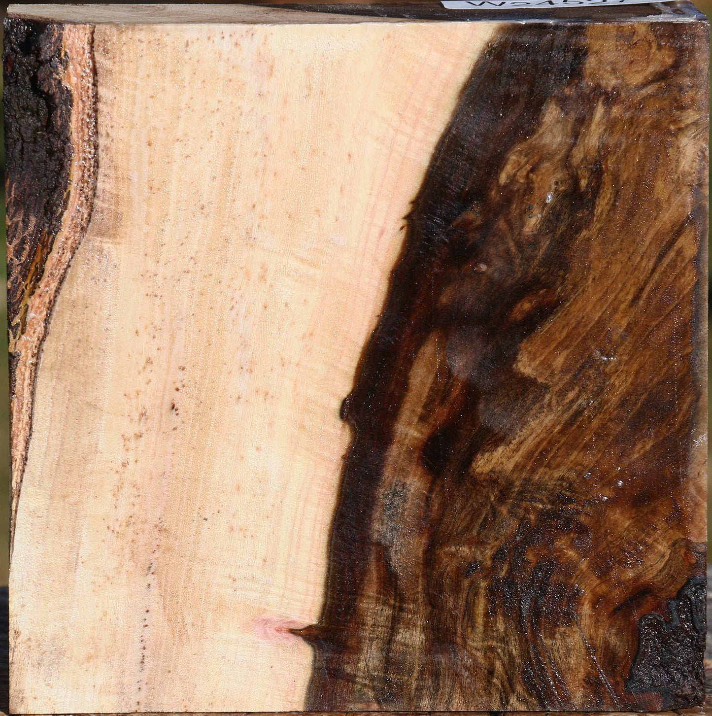 Extra Fancy Pistachio Bowl Blank