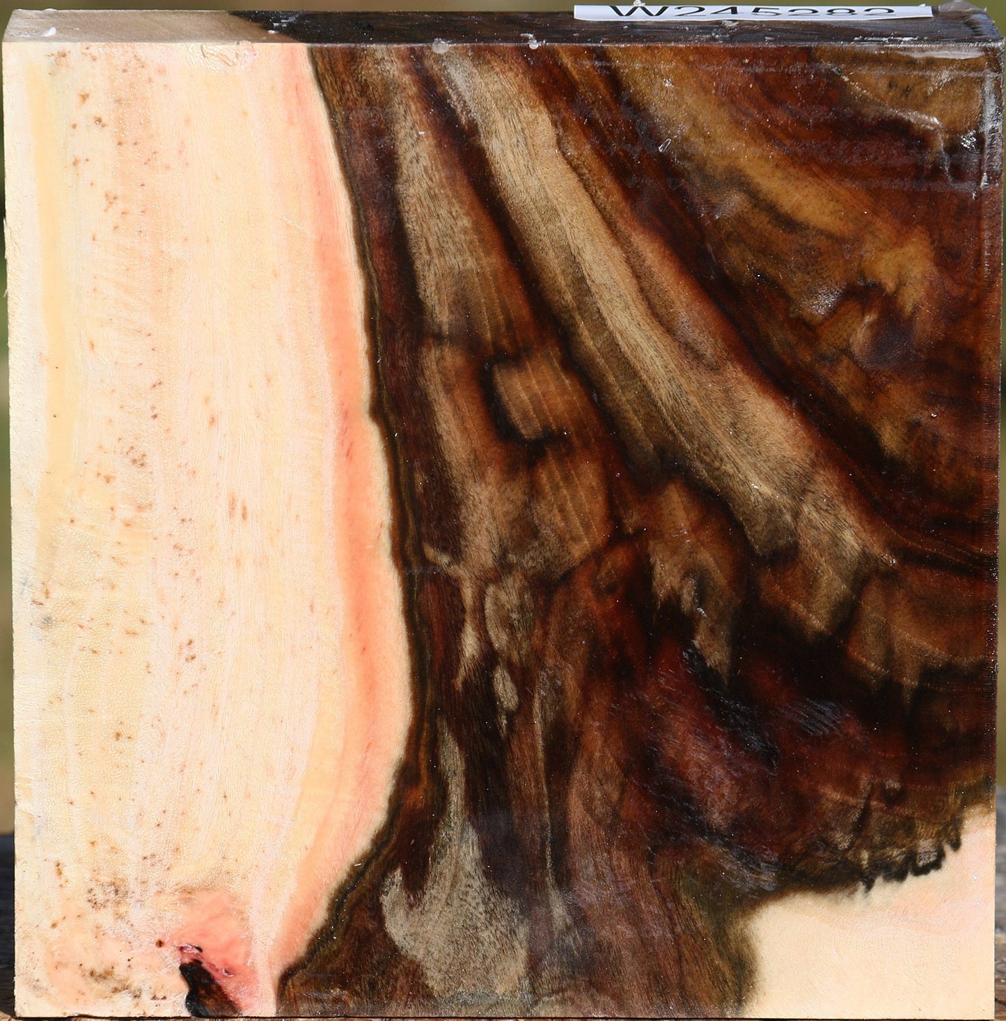 Extra Fancy Pistachio Bowl Blank