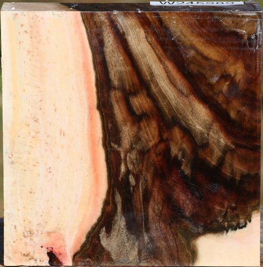 Extra Fancy Pistachio Bowl Blank