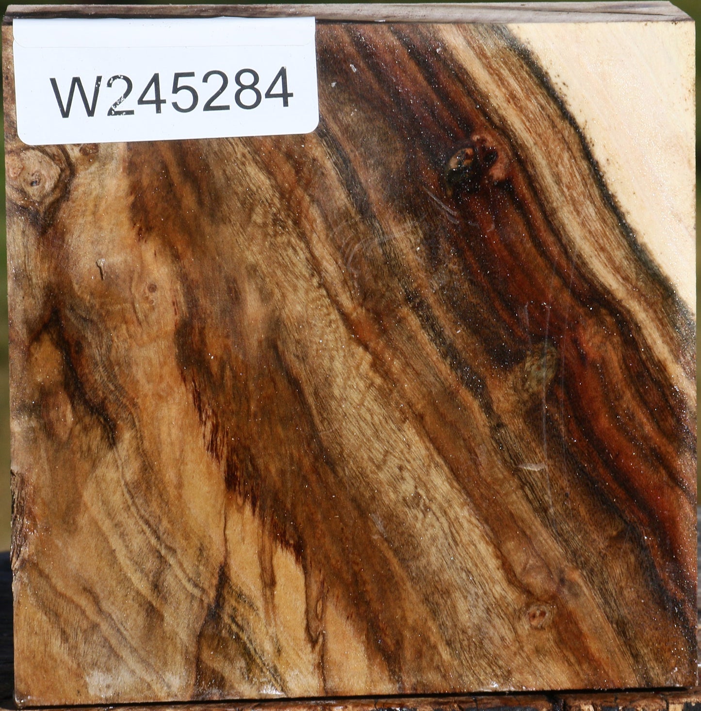 Figured Pistachio Bowl Blank