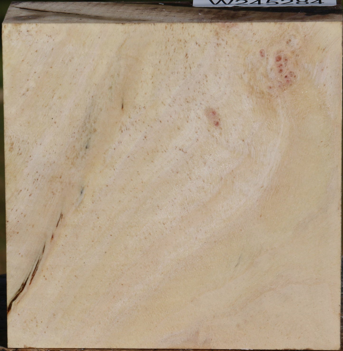 Figured Pistachio Bowl Blank