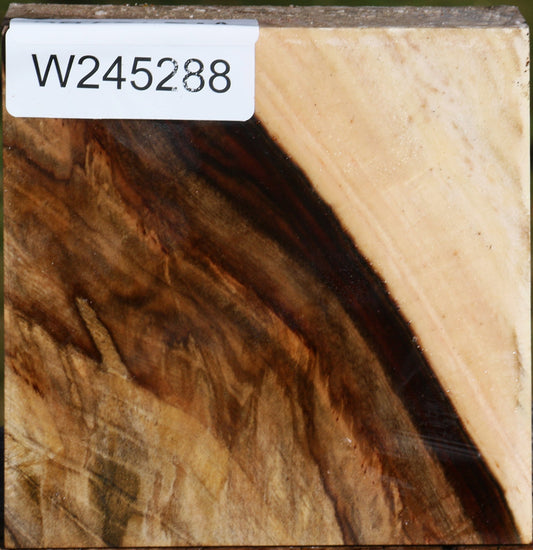 Figured Pistachio Bowl Blank