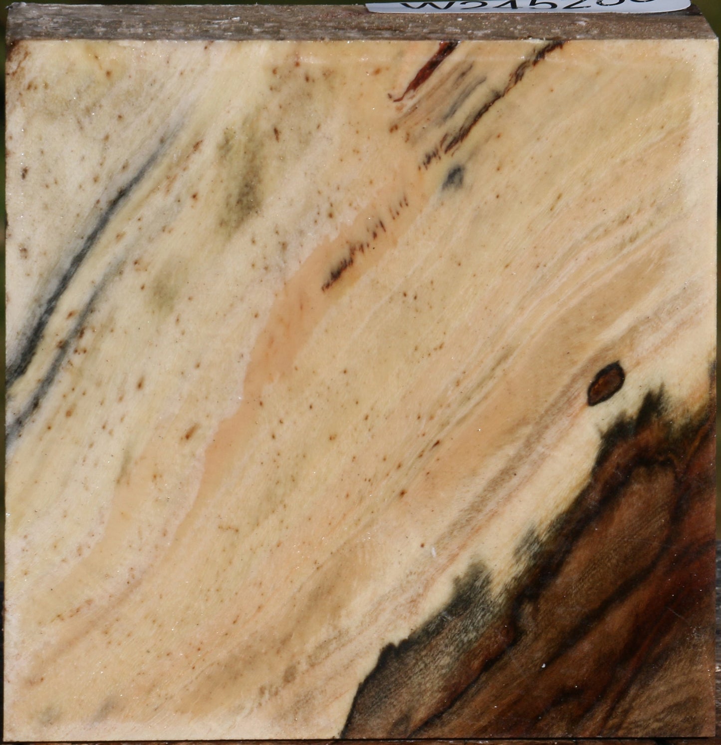 Figured Pistachio Bowl Blank