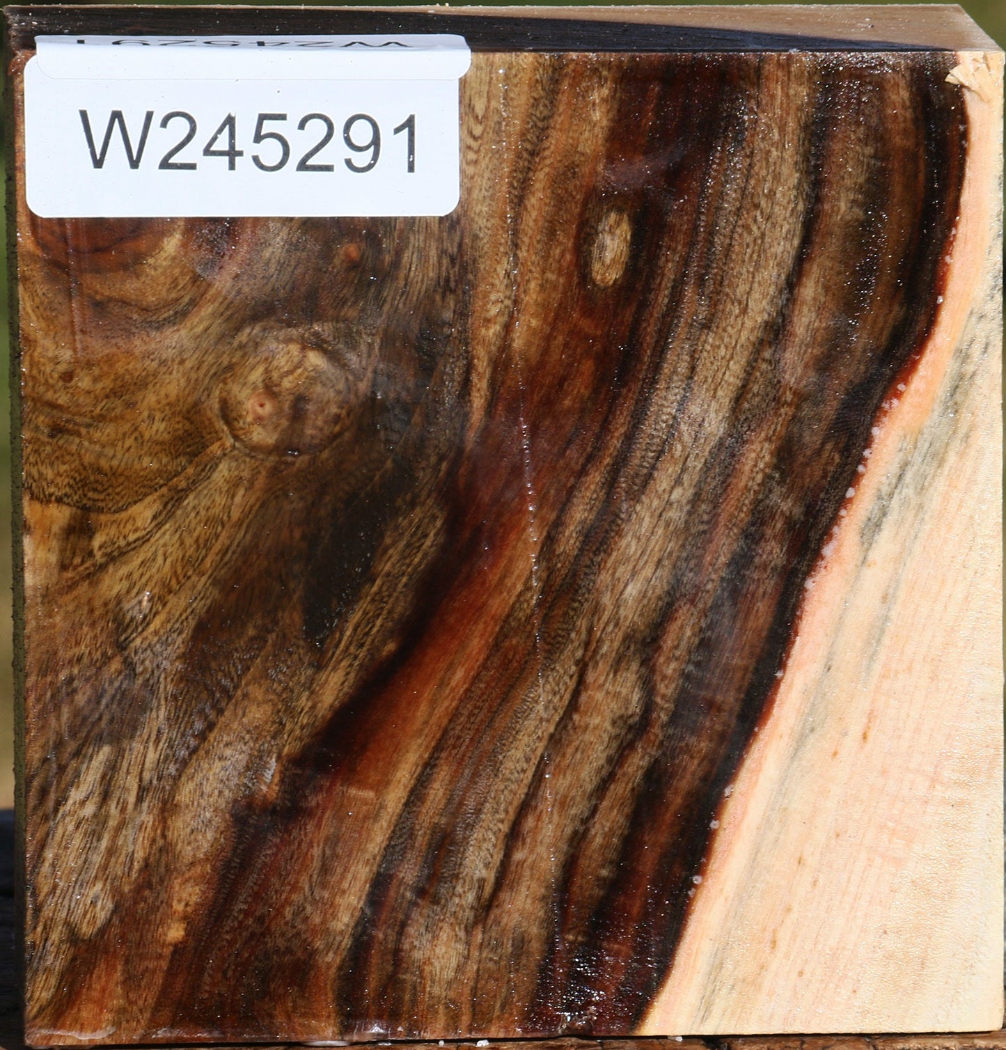 Pistachio Bowl Blank