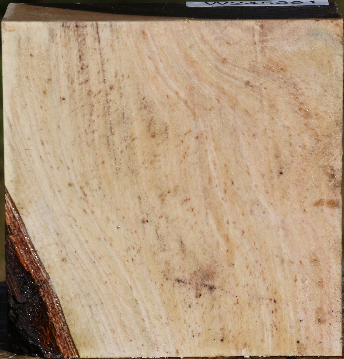 Pistachio Bowl Blank