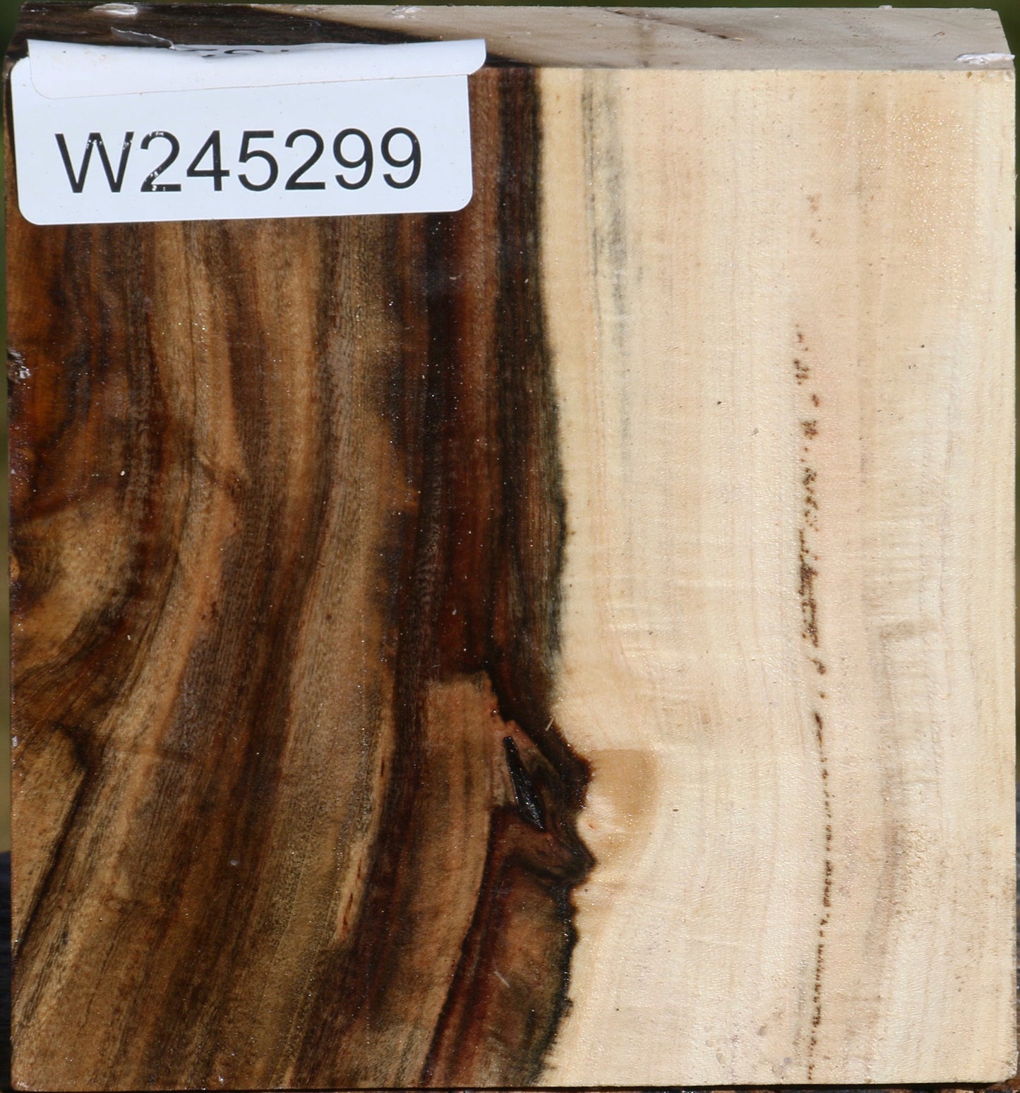 Figured Pistachio Bowl Blank