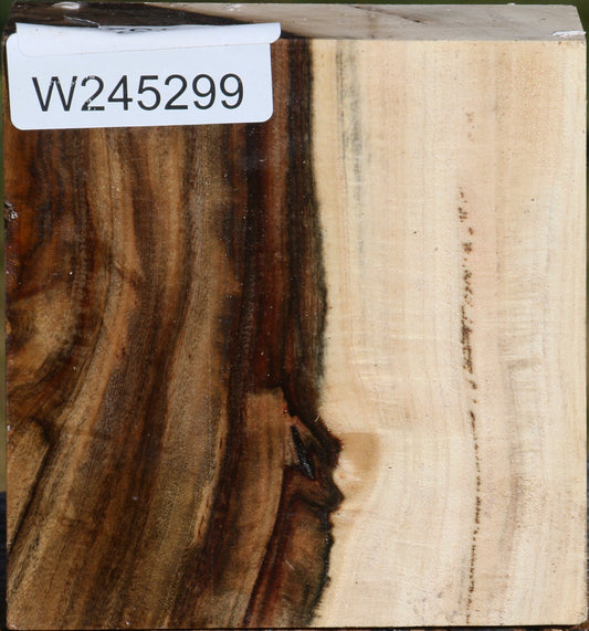 Figured Pistachio Bowl Blank