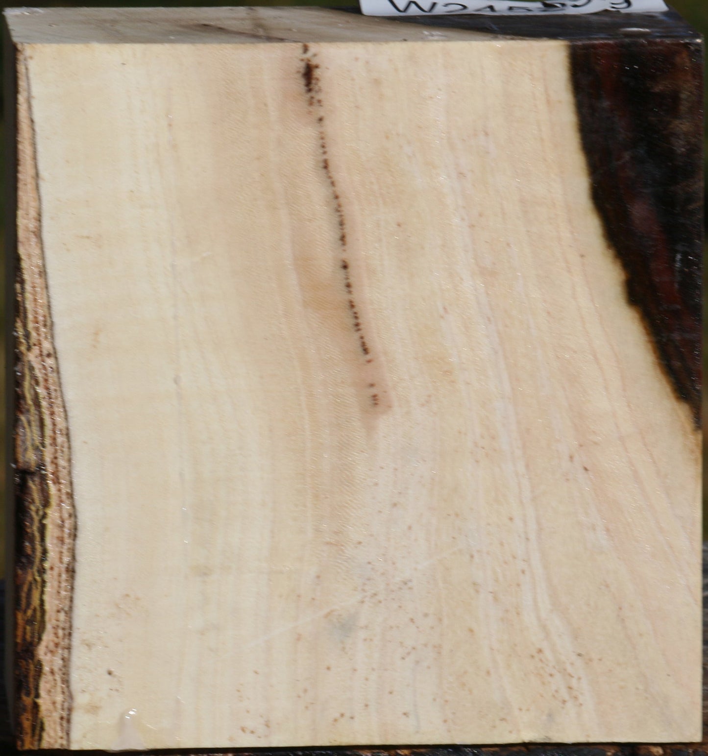 Figured Pistachio Bowl Blank