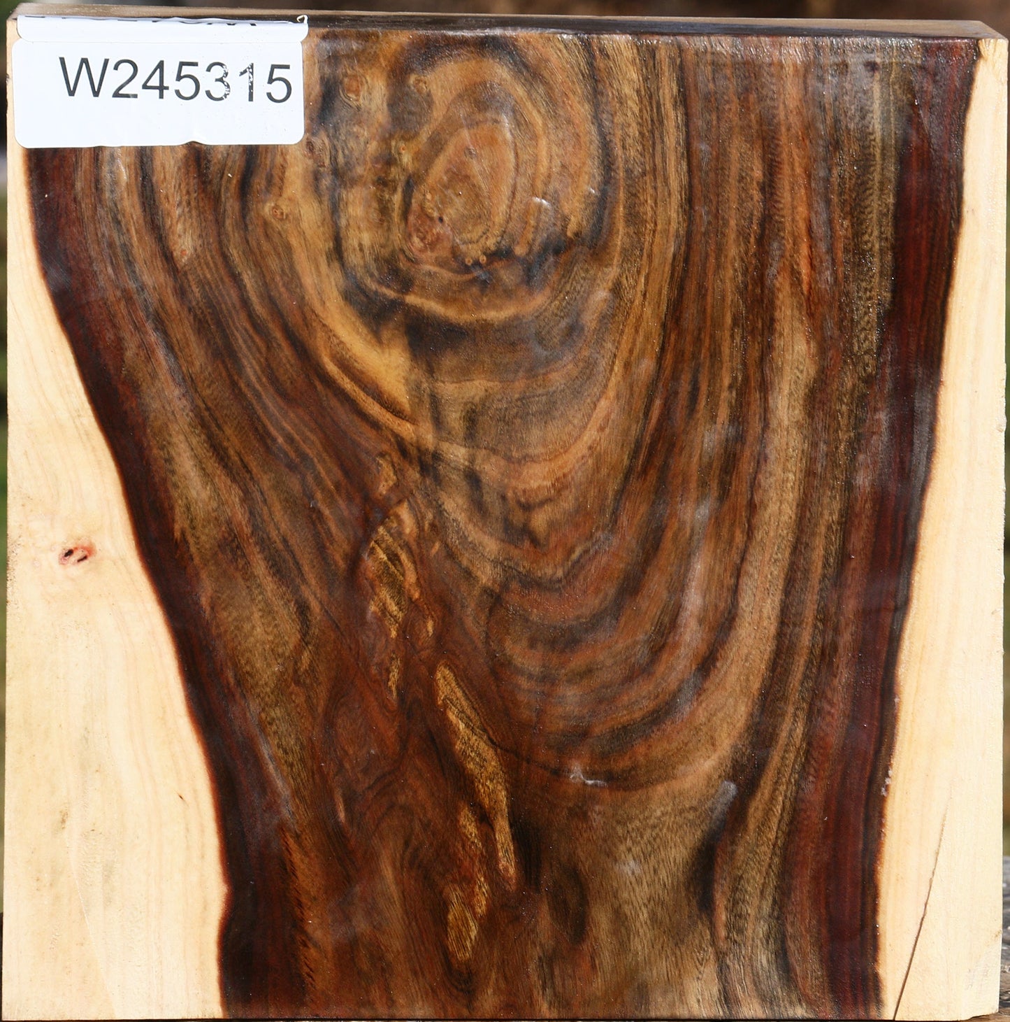 Pistachio Bowl Blank