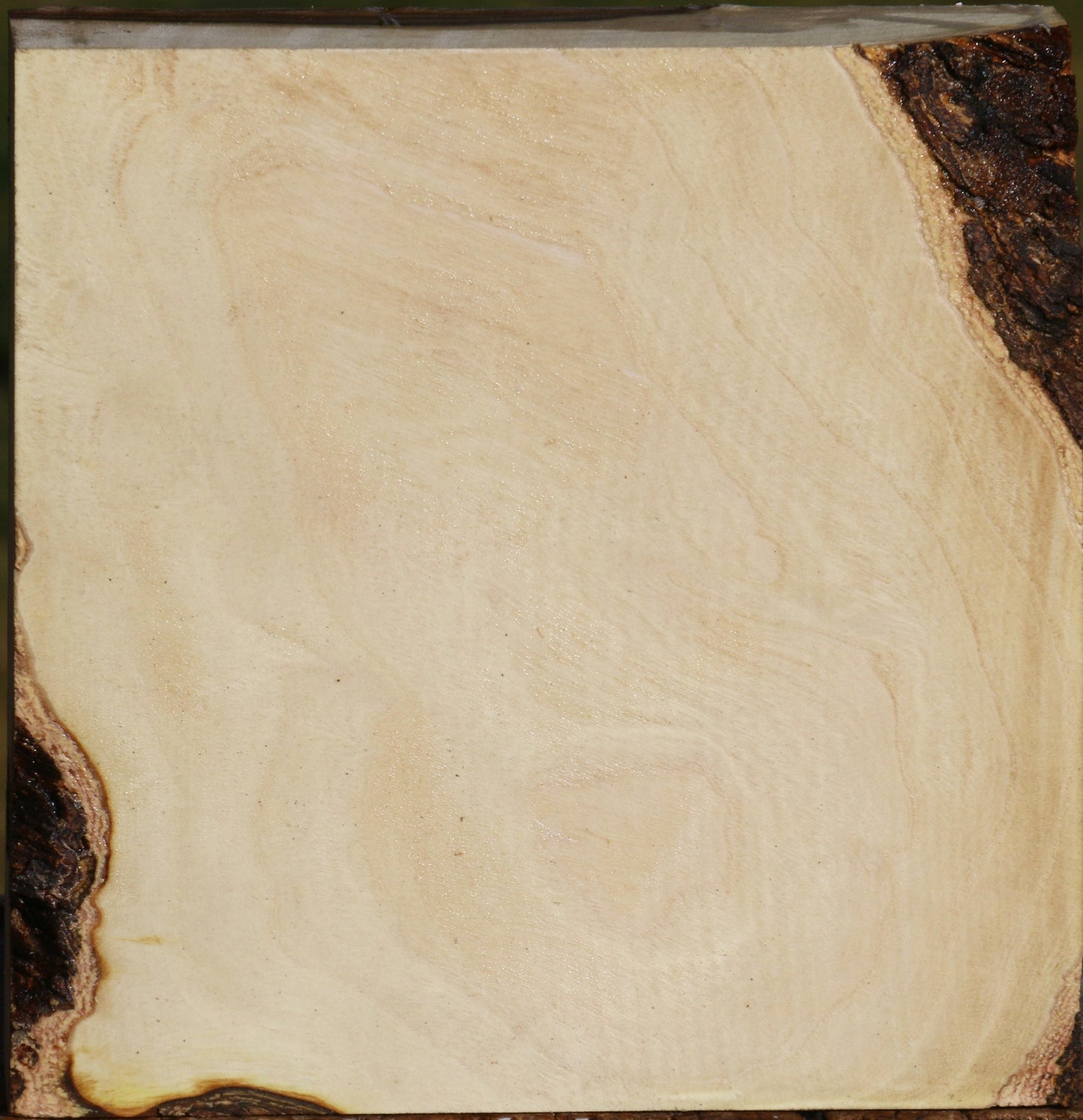 Figured Pistachio Bowl Blank